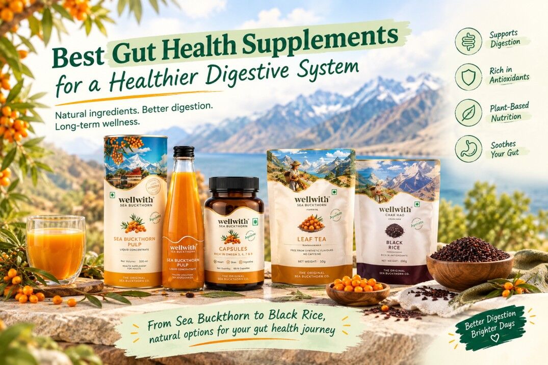 Greater Noida, Health & Beauty Items, INR 1,  Best Gut Health Supplements For A Healthier Digestive System