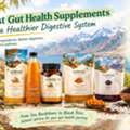 INR 1,  Best Gut Health Supplements For A Healthier Digestive System