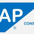 SAP Consultants India For Expert ERP Consulting By Mojo Marcon LLP
