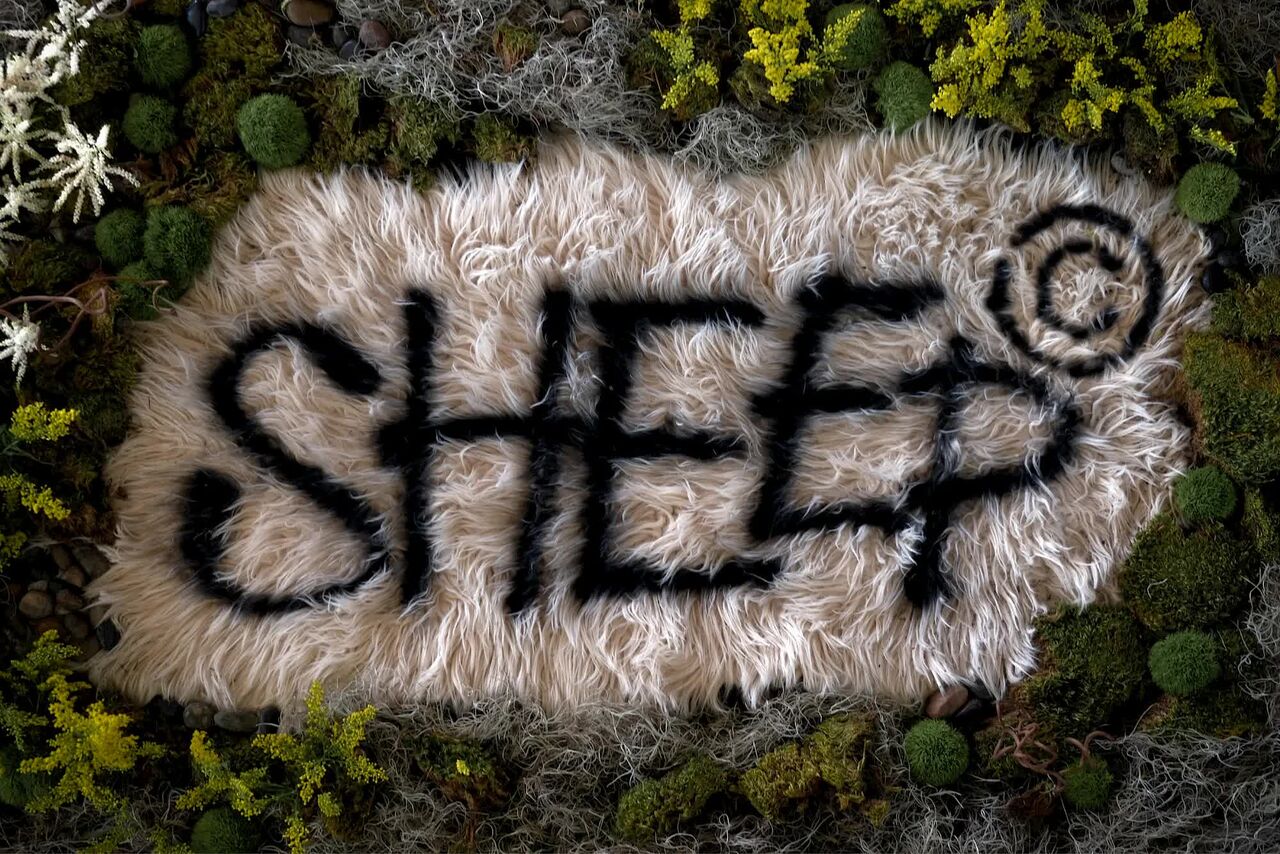 New York, Restaurants, SHEEP Denver | Four-Course Open-Fire Tasting Menu In Cherry Creek
