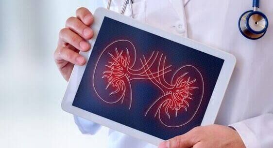 New Delhi, Health, Best Kidney Hospital In Delhi NCR