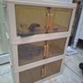 SAR 50,  Openable Cabinet