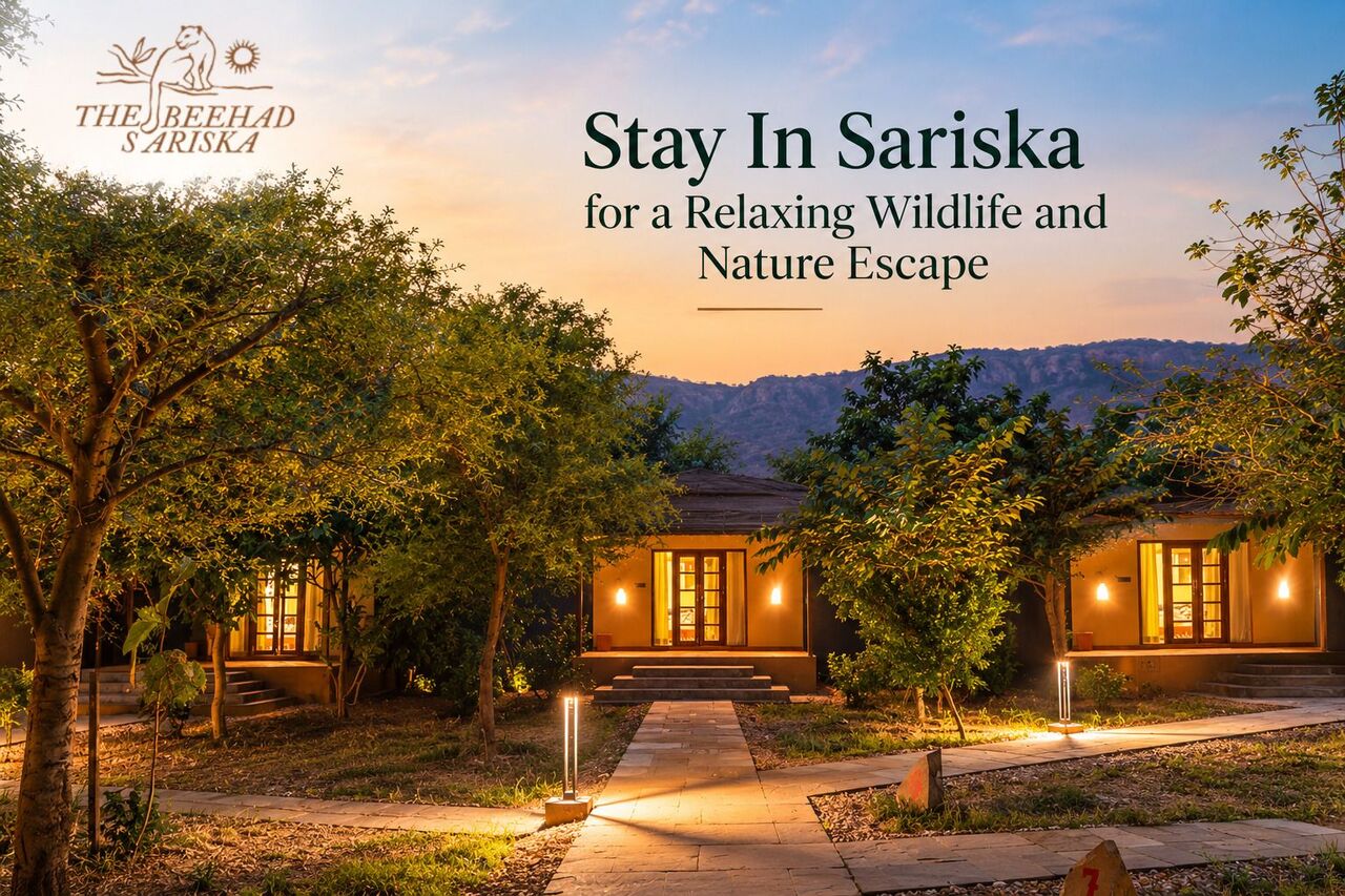 Mumbai, Travel, Stay In Sariska For A Relaxing Wildlife And Nature Escape