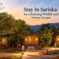 Stay In Sariska For A Relaxing Wildlife And Nature Escape