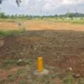 INR 23999,  250 Sq. Yard,  Hmda & Rera Approved Open Plots For Sale Near Mansanpally