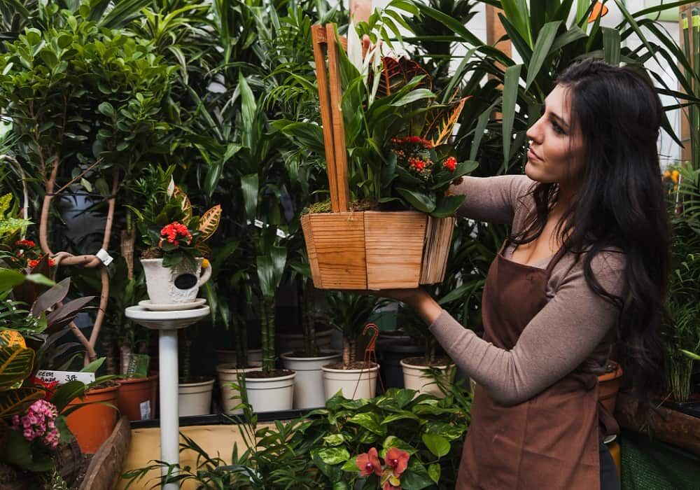 Mumbai, Farm/Garden, Plants For Kitchen Garden In India