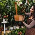 Plants For Kitchen Garden In India