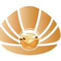 Desert Pearl Trading LLC