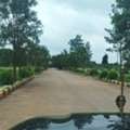 INR 37,  221 Sq. Yard,  HMDA Approved Plots For Sale In Tukkuguda - Hyderabad 9701498367