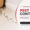 Professional Sacramento Commercial Pest Control & Prevention