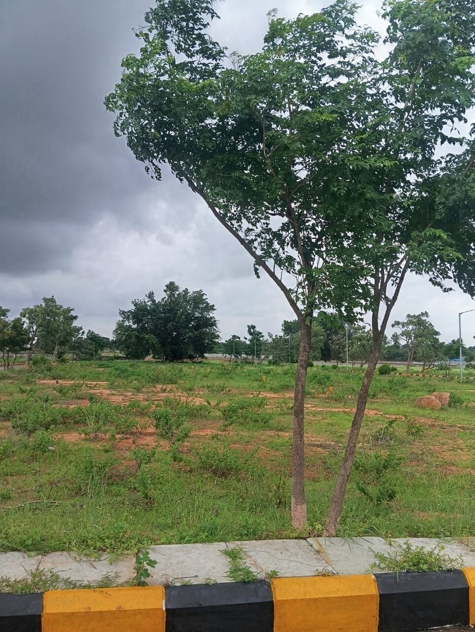 Hyderabad, Residential Plots, INR 39,  190 Sq. Yard,  Plots For Investment | Tukkuguda HMDA Approved Plots | Exit 14 Hyderabad