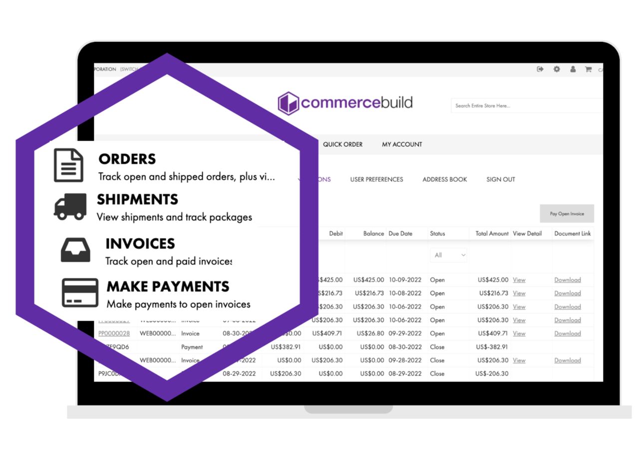 New York, Computer, Sage Customer Portal For Modern B2B Customer Services
