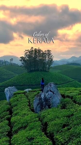 New Delhi, Travel, Kerala Tour Package &ndash; Explore Munnar, Alleppey & Thekkady