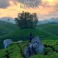 Kerala Tour Package &ndash; Explore Munnar, Alleppey & Thekkady
