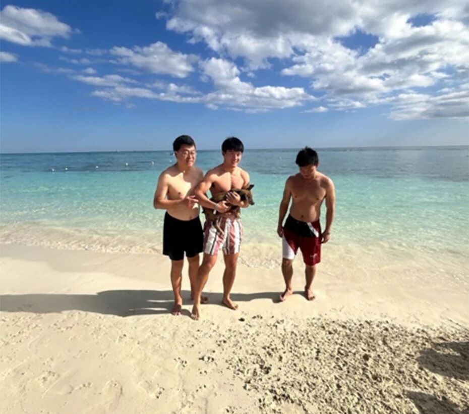Bahamas, Travel, Enjoy A Unique Pig Encounter Tour Freeport Bahamas Swim With Pigs