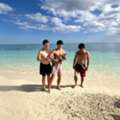 Enjoy A Unique Pig Encounter Tour Freeport Bahamas Swim With Pigs