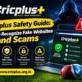 Cricplus Safety Guide: How To Recognize Fake Websites And Scams