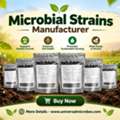 USD 55,  Microbial Strains Manufacturer With Industry-Focused Solutions &ndash; Order Now