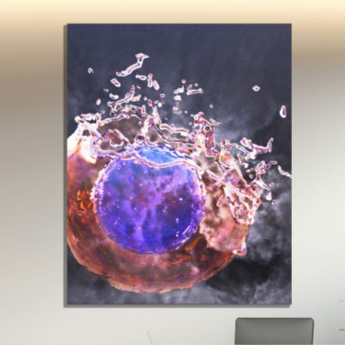 New York, Business, 3d Cellular Landscapes Digital Art