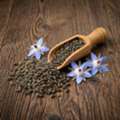 INR 1625,  Borage Microgreen Seeds &ndash; Fresh, Flavorful & Easy To Grow