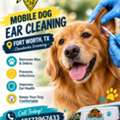 Mobile Dog Ear Cleaning Fort Worth, TX &ndash; Chewbarka Grooming