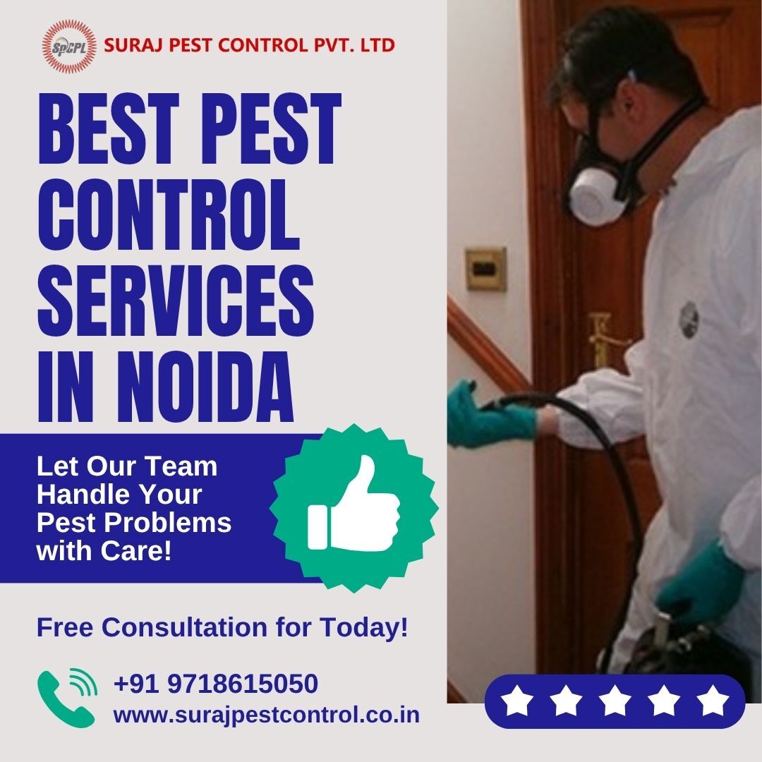 Noida, Pest Control, Best Pest Control Services In Noida Same Day