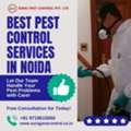 Best Pest Control Services In Noida Same Day