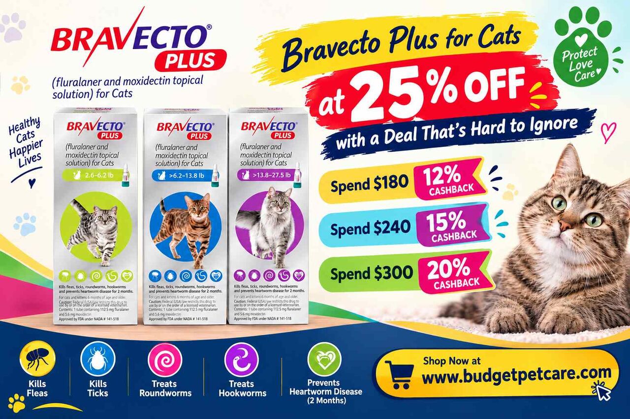 New York, Pet Supplies, Bravecto Plus For Cats At 25% Off With A Deal That&rsquo;s Hard To Ignore