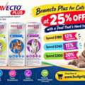 Bravecto Plus For Cats At 25% Off With A Deal That&rsquo;s Hard To Ignore