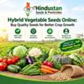 Hybrid Vegetable Seeds Online: Quality Seeds For Better Farming
