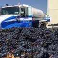 Bulk Nitrogen Suppliers Near Me Napa | Bulk CO2 Suppliers Near Me Napa | Industrial Gases