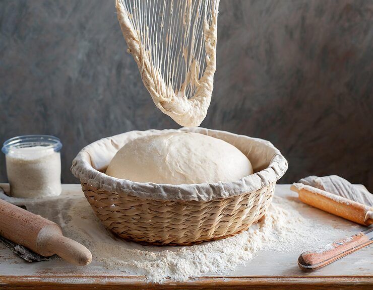 New York, Business, Choose The Right Bread Proofer For Baking