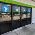 Window Graphics In Orlando For Professional Storefront Branding