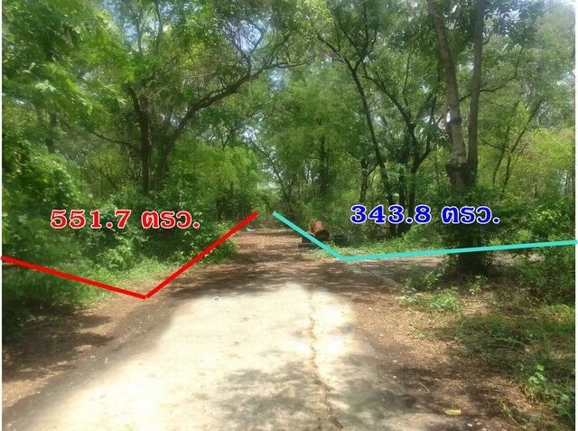 Bangkok, Real Estate For Sale, THB 10314000,  6 BR,  343 Sq. Feet,  ถูกสุด ที่ดินใจกลางเมือง ทำเลดี 343.8ต