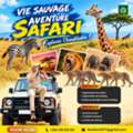 Organisez Votre Safari Au Kenya Avec KT Safaris