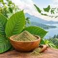 Thai Kratom &ndash; Explore Quality Kratom Products At Kures