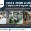Having Trouble Sourcing Carpets For Large Projects?