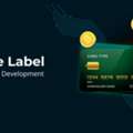Get In Touch With Antier For White Label Crypto Card Development Services