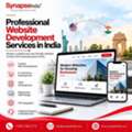 Professional Website Development Services In India