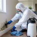 Essential Steps For Effective Home Mold Remediation