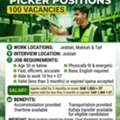 Keemart Warehouse &ndash; Picker Positions