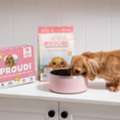 Raw Food For Pets For Quality Everyday Meals