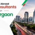 Overseas Study Planning With Gurgaon Consultants
