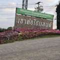 THB 3800000,  6 BR,  0 Sq. Feet,  บ้านพร้อมที่ดิน  ที่ตั้ง : แคมป์สน อ.