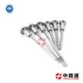 CNY 3,  Diesel Control Valve F00RJ01005 Ve