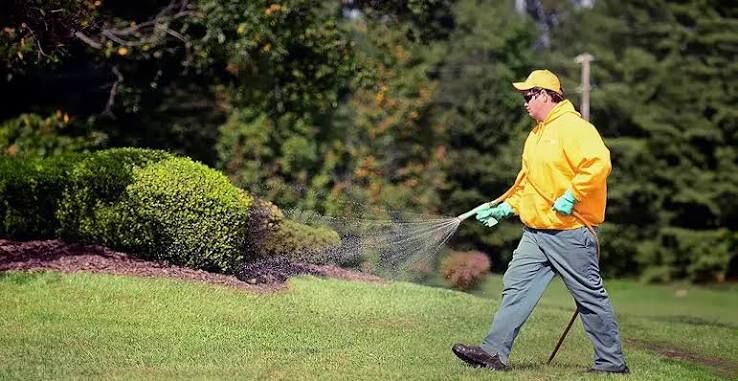 U.S. Virgin Islands, Business, Ground Maintenance And Weed Control Services In Texas