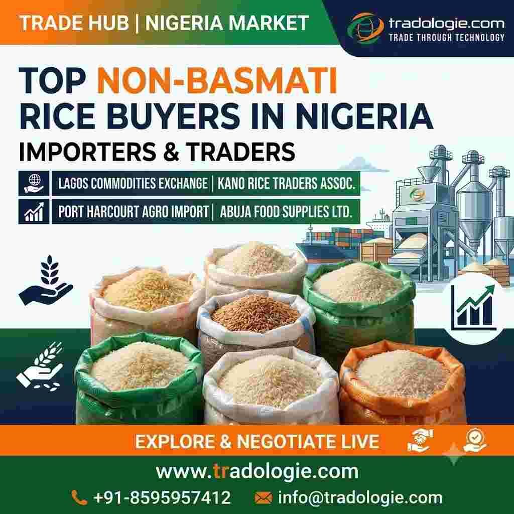 Lucknow, Food, INR 25,  Top Non-Basmati Rice Buyers In Nigeria | Importers & Traders