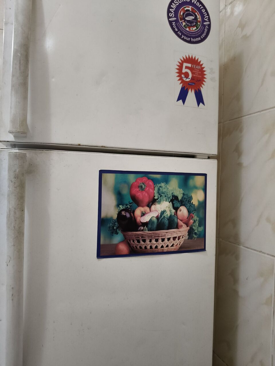 Al Safa, Electronics, SAR 450,  SAMSUNG Fridge
