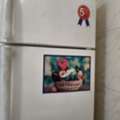 SAR 450, SAMSUNG Fridge