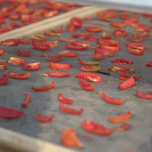 Indore, Food, Bulk Dried Tomatoes In India - Dehydrated Flakes & Powder